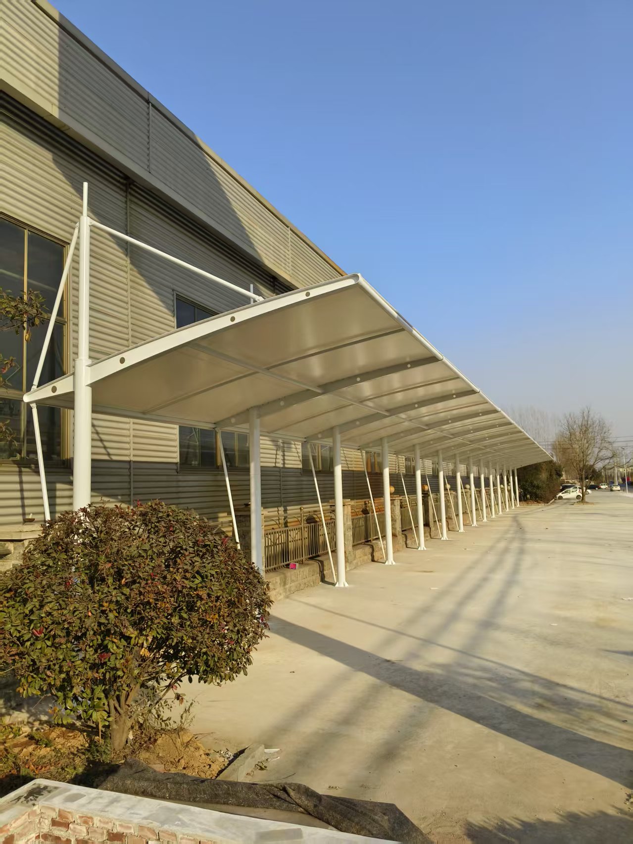 山东幸福膜结构工程有限公司膜结构工程实景